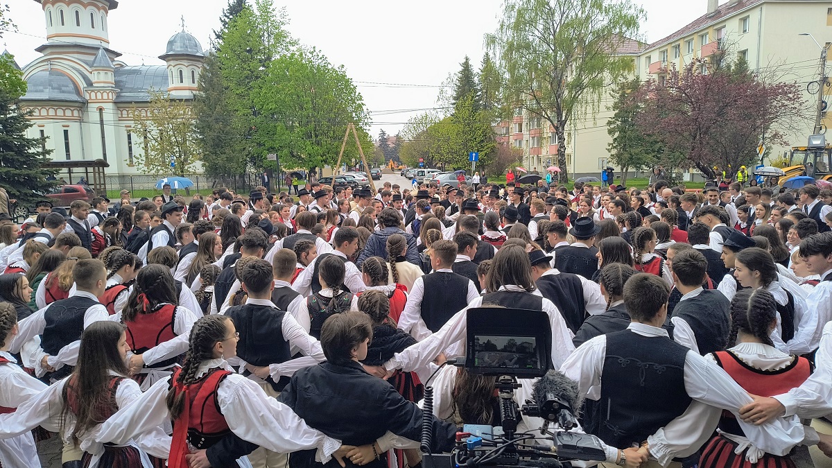 Barabás-Pál Hajnalka